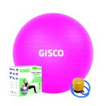 GYM BALL 65CM DIA WITH PUMP & BOX