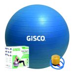 GYM BALL 65CM DIA WITH PUMP & BOX ASSORTED COLOURS