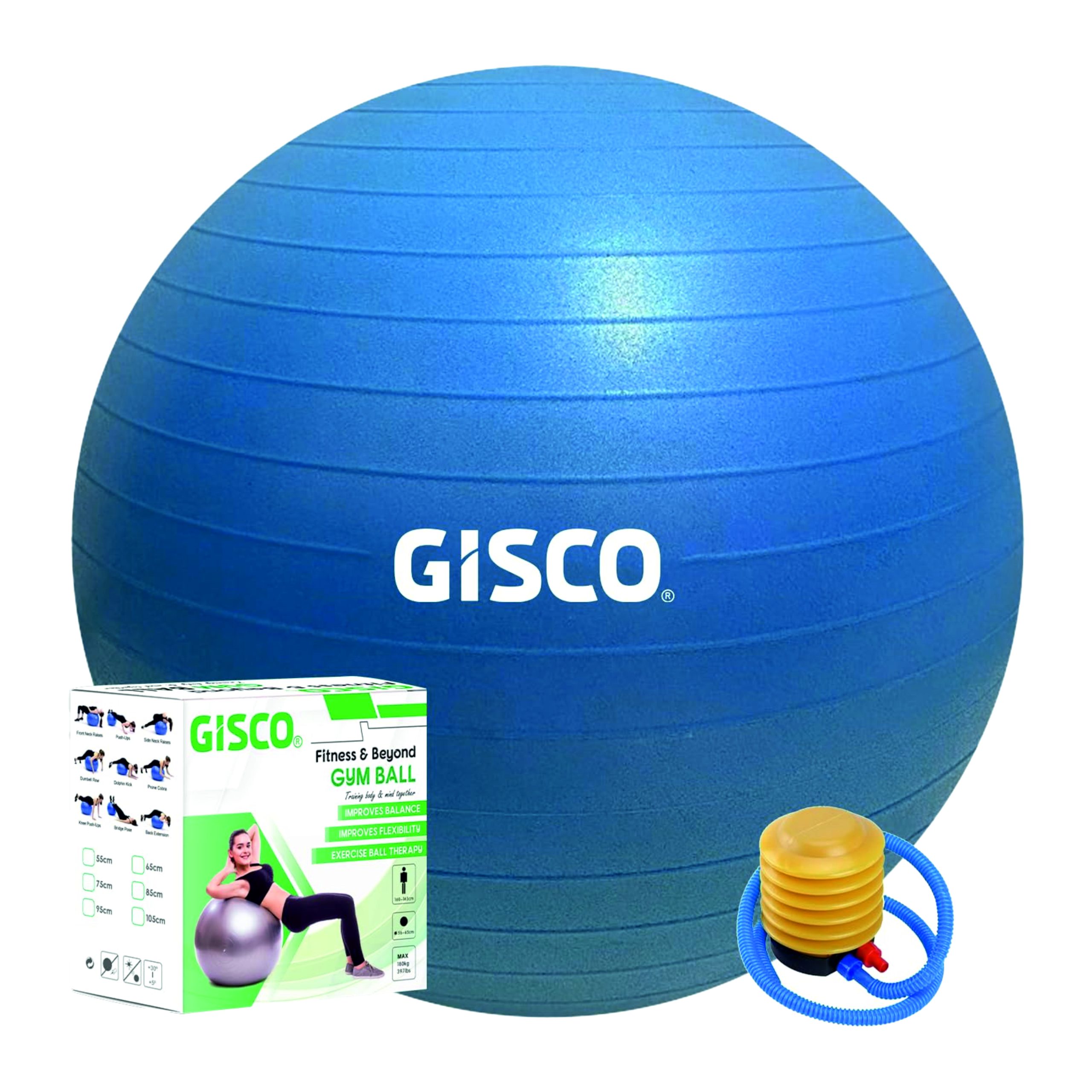 GYM BALL GYM BALL 65CM DIA WITH PUMP & BOX ASSORTED COLOURS - Image 1